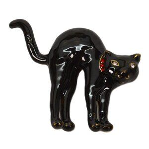 Heidi Daus Halloween Scaredy Cat Brooch Pin w Crystals New In Box